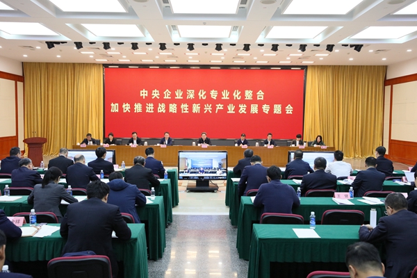 戰(zhàn)新.jpg 戰(zhàn)新.jpg